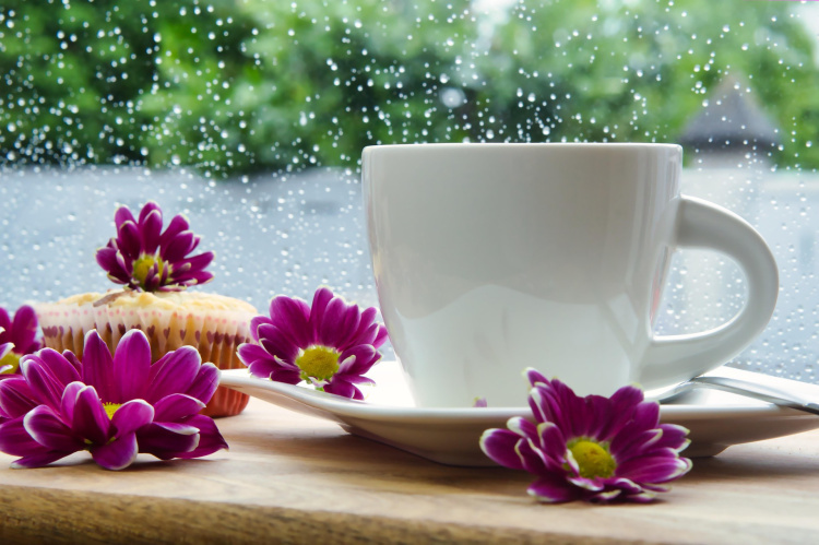kaffekopp med blommor kring sig på insidan av ett regnigt fönster