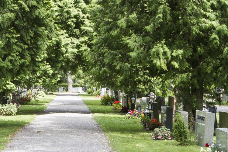 Gravgården_XL.jpg